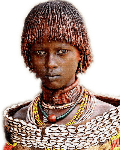 Rena Africa Woman Frau - фрее пнг