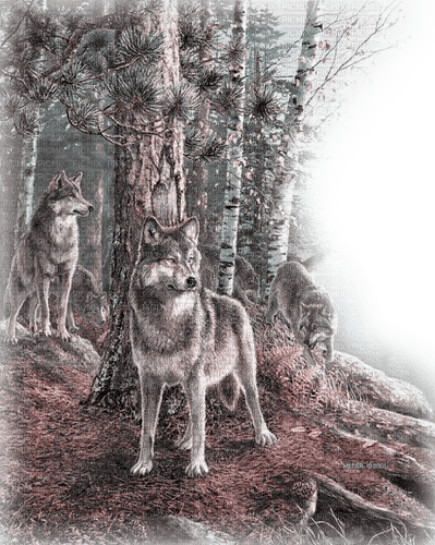 dolceluna wolves wolf pink autumn png tube - Free PNG