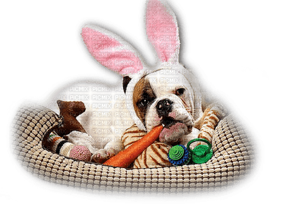 Kaz_Creations Dog  Pup Deco Easter - PNG gratuit