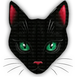 cats bp - Free PNG
