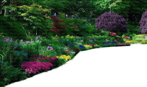 Garten - kostenlos png