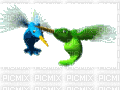 colibri - Besplatni animirani GIF