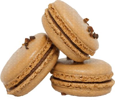 Cookie Beige Chocolate - Bogusia - Free PNG