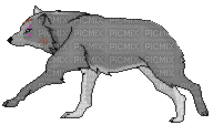 running wolf - Animovaný GIF zadarmo