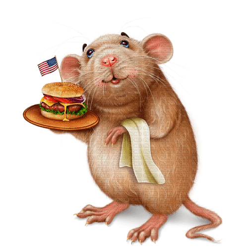 Ratón  con hamburgesa - png gratis