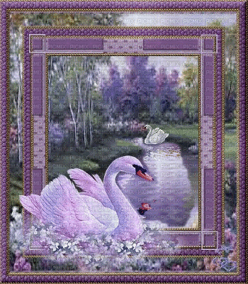 swan - 免费动画 GIF