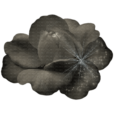 fleur noir.Cheyenne63 - zadarmo png