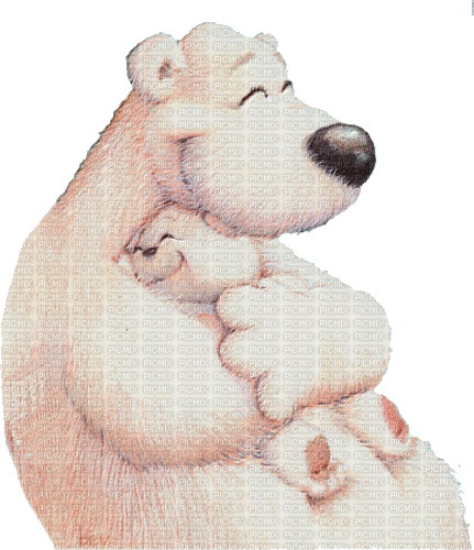 icebear eisbär gif winter - 免费动画 GIF