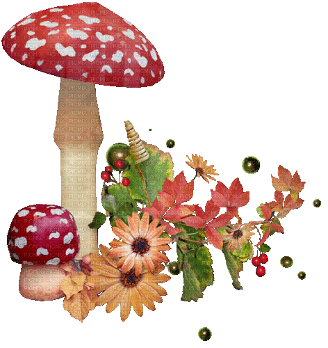 Mushroom Impression - Darmowy animowany GIF