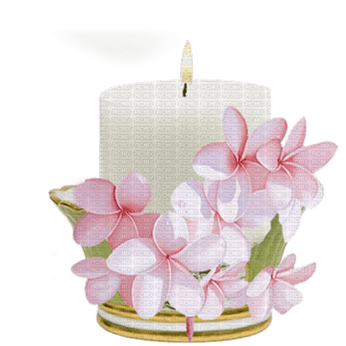 Plumeria Candle - png ฟรี