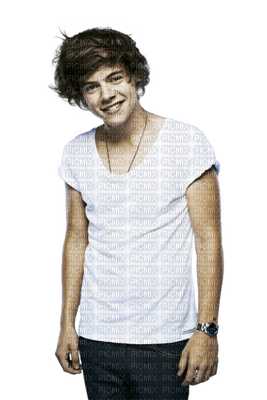 Kaz_Creations Harry Styles One Direction Singer Band Music - ingyenes png
