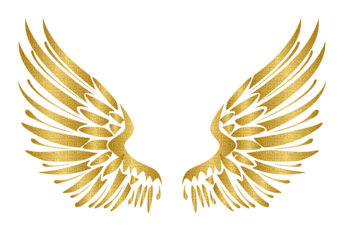 wings Bb2 - PNG gratuit