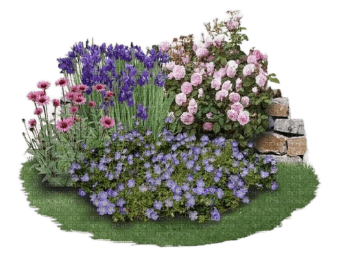 garden plant - фрее пнг