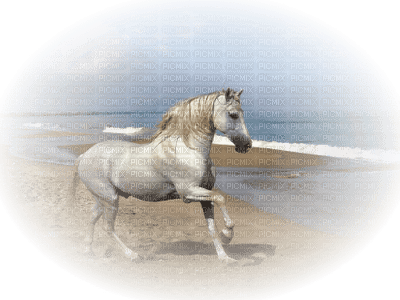Kaz_Creations Animals Horses Horse Paysage Scenery - png ฟรี