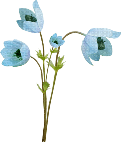 kikkapink blue flowers spring - 免费PNG
