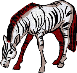 zebres - Gratis animeret GIF