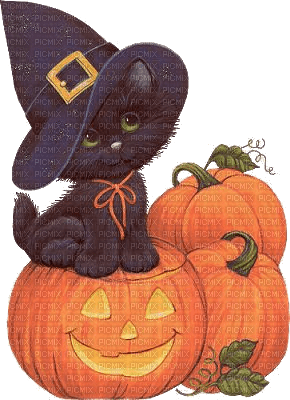 Halloween, Kürbis, Katze, Hut - фрее пнг