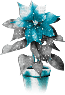 soave deco flowers vase christmas winter - kostenlos png