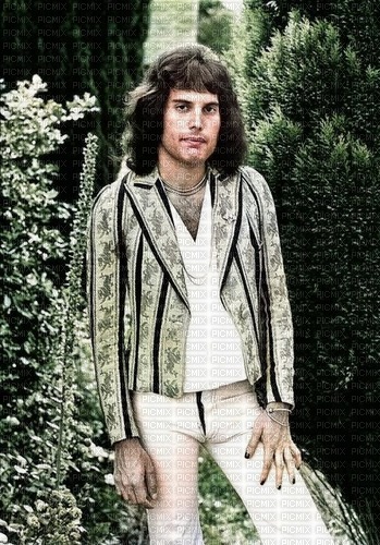Freddie Mercury - png grátis
