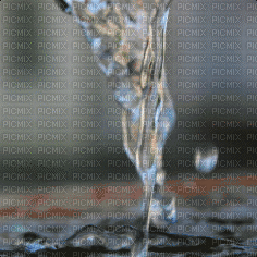 maj eau - Δωρεάν κινούμενο GIF