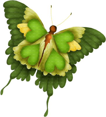 Kaz_Creations Deco Butterflies Butterfly Colours - Free PNG