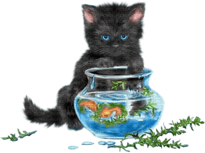 Tube Animaux Chat - Free PNG