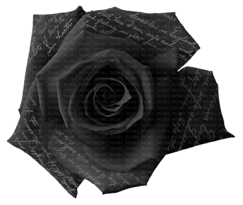 Fleur.Flower.Black rose.Victoriabea - Free PNG