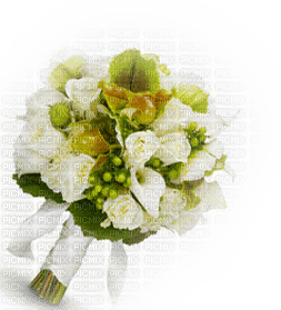 Flowers-white - zdarma png