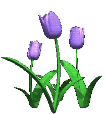 Gif fleurs - Gratis animerad GIF