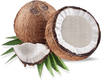 Coconut. Coco.Tropical.Fruit.Victoriabea - PNG gratuit