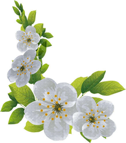 Spring Blossom  Frame - gratis png