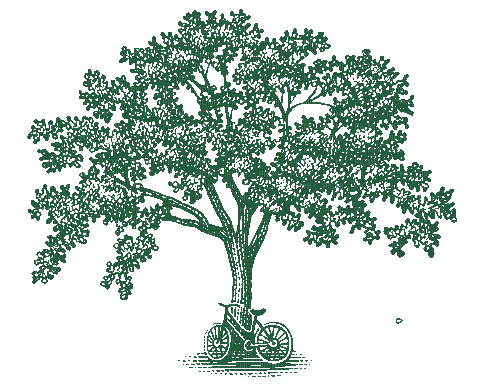 деревья - Zdarma animovaný GIF
