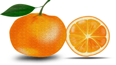 Kaz_Creations Fruits Fruit - ilmainen png