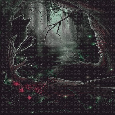 Y.A.M._Fantasy forest background - 免费PNG