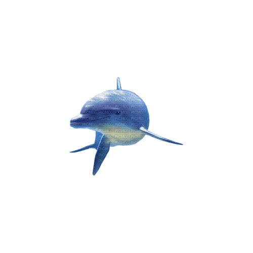 kikkapink deco scrap blue dolphin - PNG gratuit