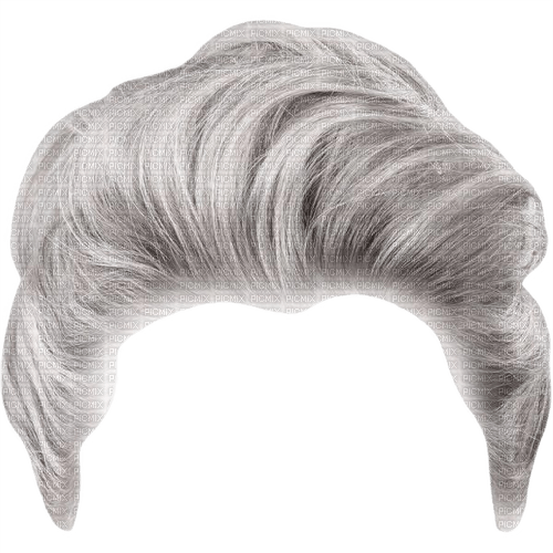 cheveux homme - бесплатно png