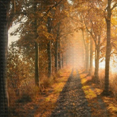 Kaz_Creations Backgrounds Background Autumn - gratis png