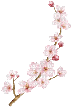 flowers - GIF animado gratis