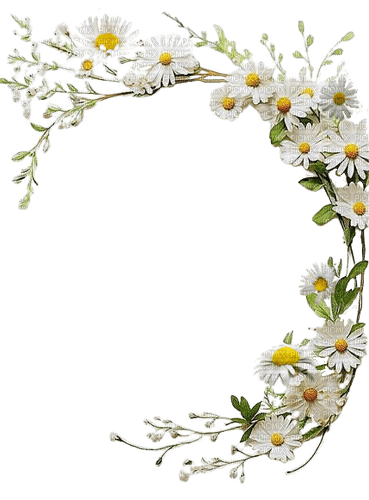 Daisies.Marguerites.Frame.Victoriabea - безплатен png