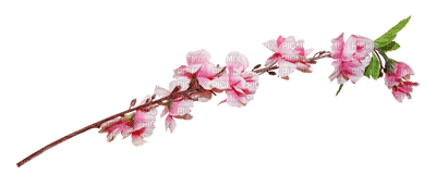 Kaz_Creations Deco Flowers Pink Colours - zdarma png