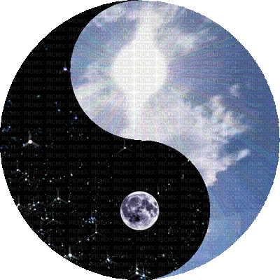 yin yang - Gratis animerad GIF
