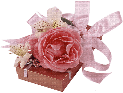 patymirabelle fleurs,cadeau - 免费PNG