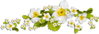 soave deco branch flowers  spring green white - kostenlos png