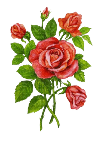 vintage roses - bezmaksas png