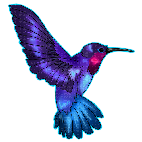 hummingbird deco - png gratuito