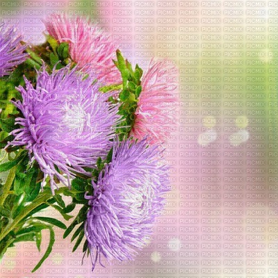 Kaz_Creations Backgrounds Background Flowers - zadarmo png