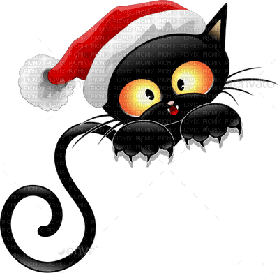 christmas cat chat noel - png ฟรี