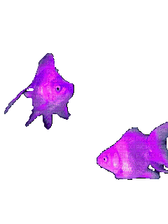 Рыба - Zdarma animovaný GIF