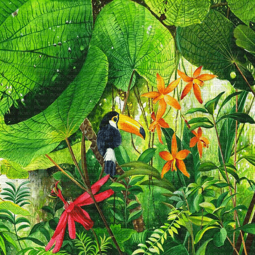 Rena Dschungel Hintergrund - gratis png