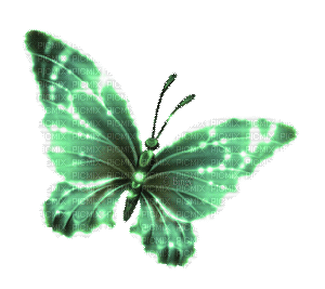 Y.A.M._Fantasy butterfly green - Free animated GIF
